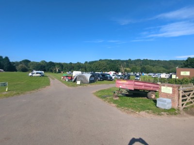 IMG_20240621_085305.jpg