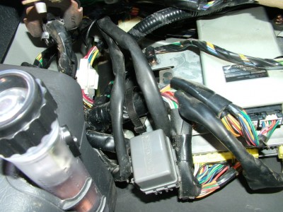 DSCF6195.JPG