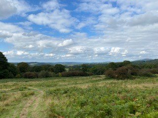 View from the obelisk towards Clee Hill.jpg
